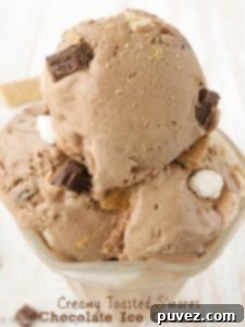 Creamy Toasted S'mores Chocolate Ice Cream - Sprinkle Some Sugar