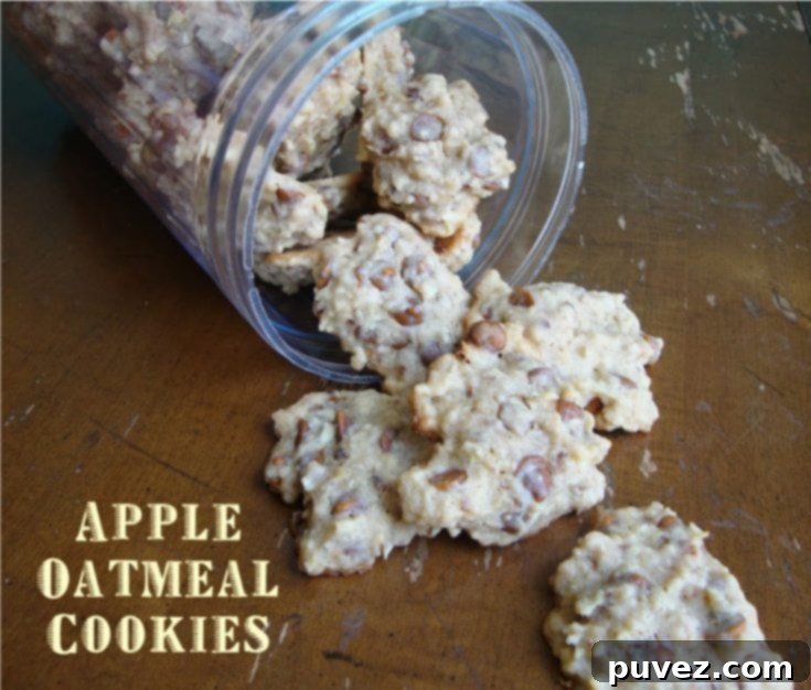 Apple Oatmeal Cookies
