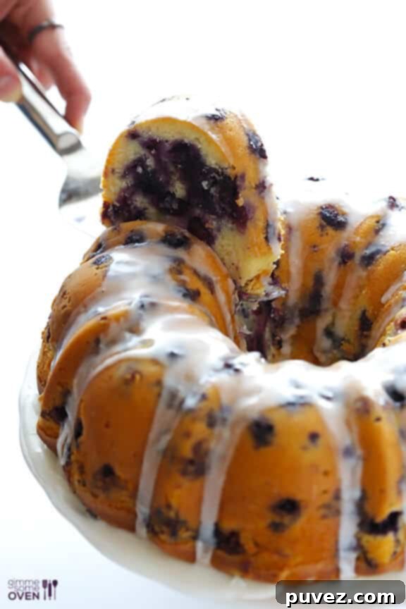 Delicious Blueberry Cake from Gimme Some Oven
