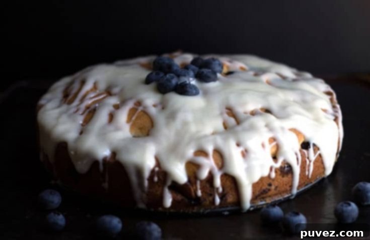 The Best Blueberry Cake Ever from Erren's Kitchen
