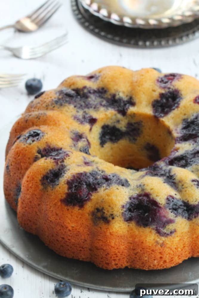 Plain blueberry bundt cake showing its golden crust and blueberry flecks