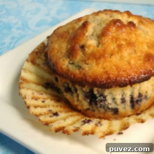 Classic fluffy blueberry muffins