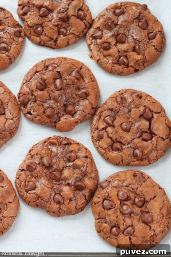 Delicious Double Chocolate Cookies cooling on a rack