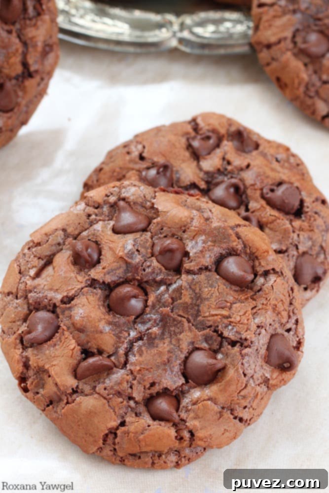 Close-up of a freshly baked chewy double chocolate cookie