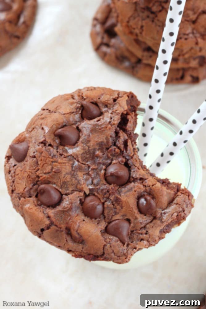 Batch of rich double chocolate cookies with melted chocolate chips