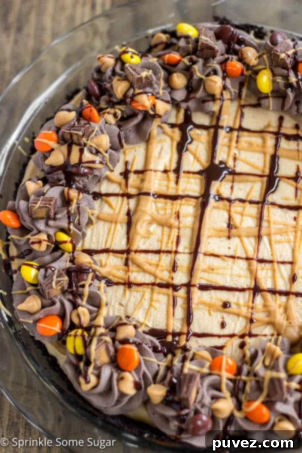 Easy No-Bake Peanut Butter Pie - A creamy peanut butter pie filling is nestled in an Oreo crust and topped with a dark chocolate whipped cream, garnished with chocolate shavings.