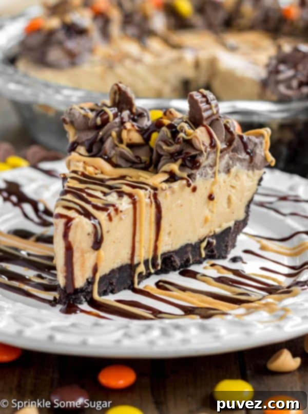 Close-up of a slice of Easy Peanut Butter Pie showing the thick creamy filling and chocolate whipped cream on an Oreo crust.