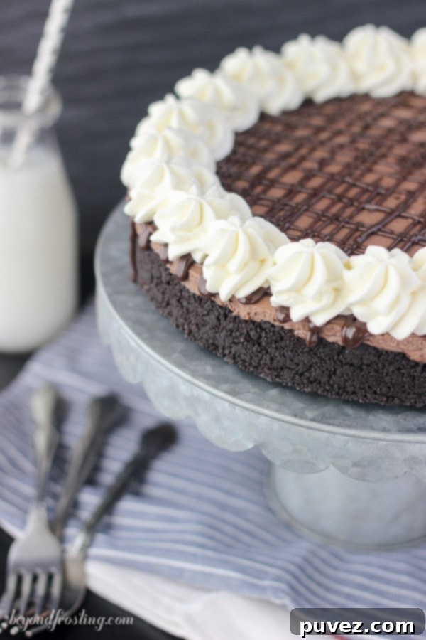 Grab a fork and dig into this no-bake Brownie Batter Cheesecake. This easy recipe is perfect for summer when you don't want to heat up your kitchen.