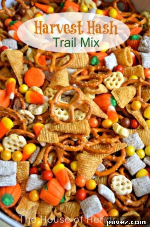 Harvest Hash Trail Mix, a colorful and varied snack mix.