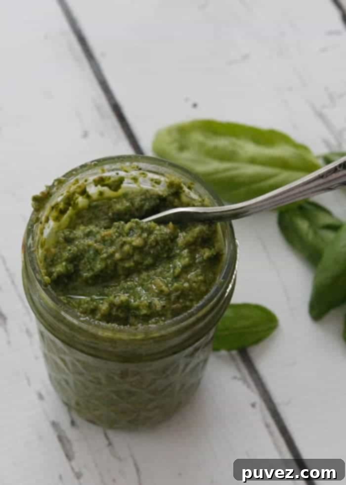 Fresh Basil Pesto