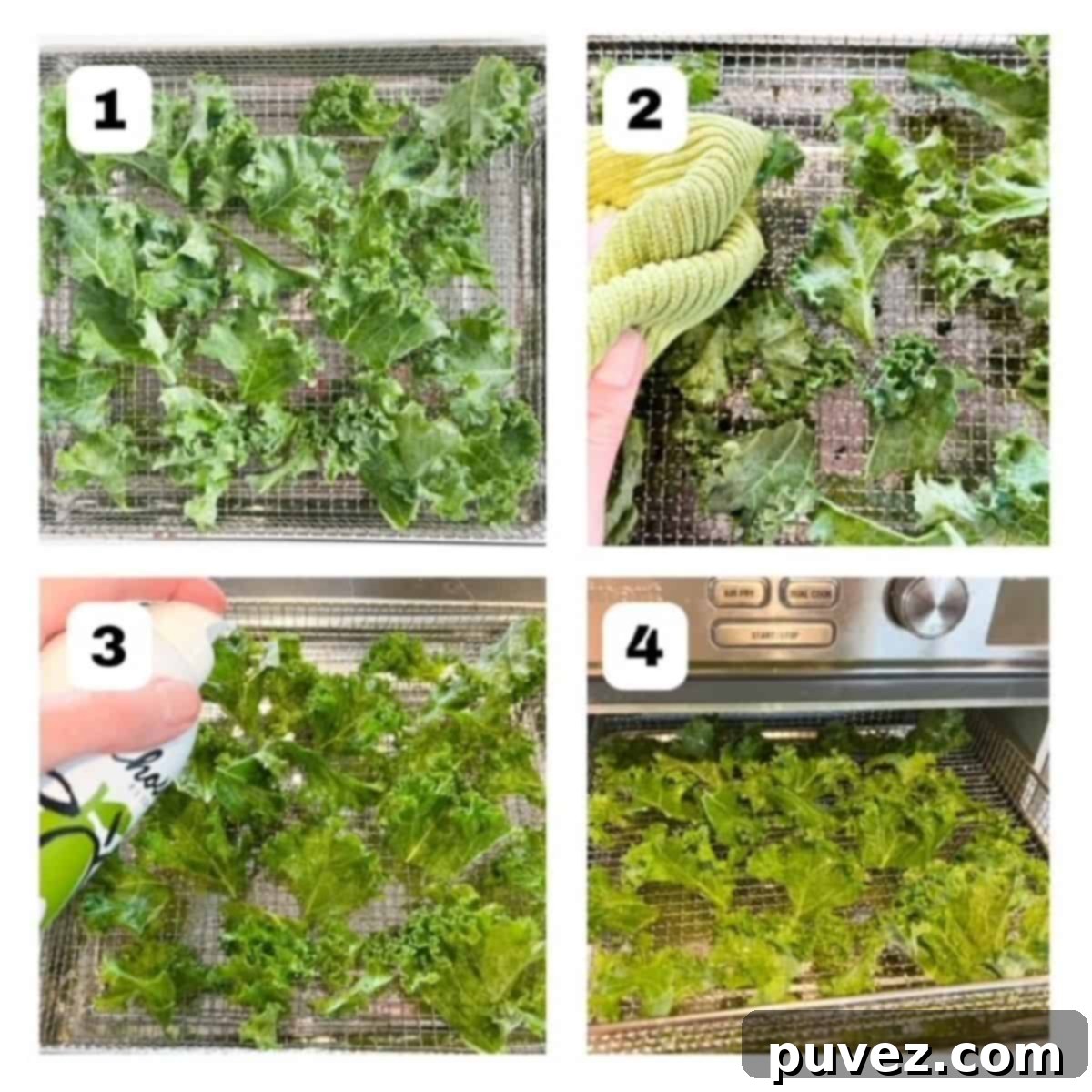 Four process shots showing steps to make kale chips in an air fryer.