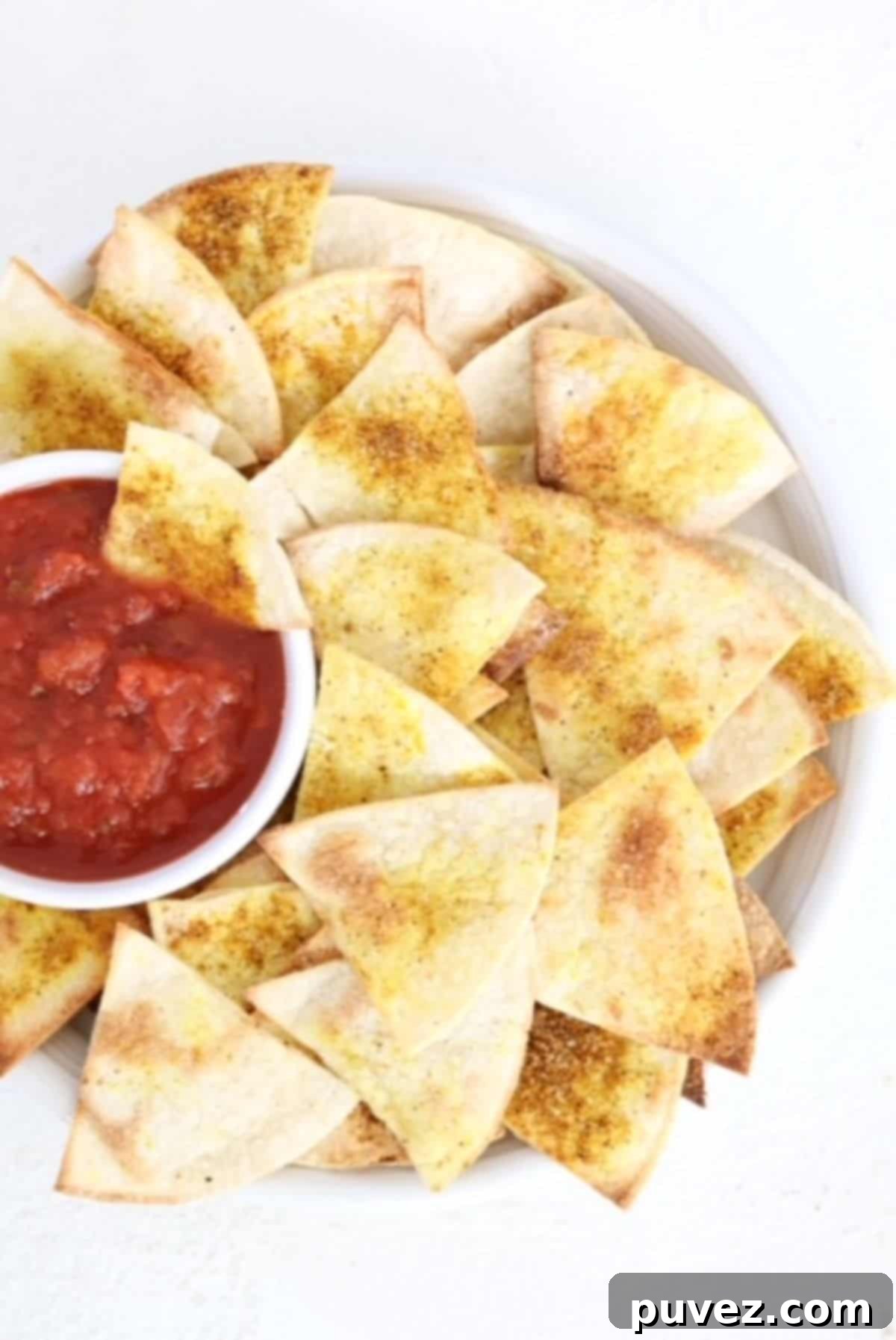 A plate of homemade tortilla chips with salsa.