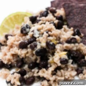 Black beans and rice with a lime wedge and a few blue tortilla chips on a white plate.