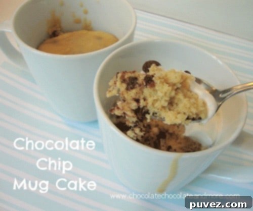 Delicious Chocolate Chip Cookie Dough Mug Cake