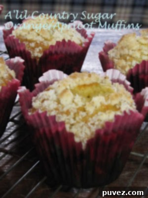 Fresh Orange Apricot Muffins with Blueberries