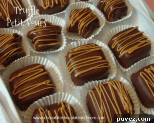 Decadent Truffle Petit Fours 2 Chocolate Poured Fondant covering petit fours