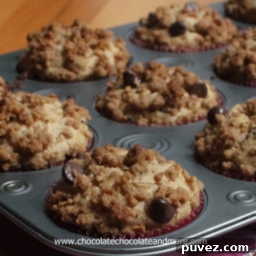 Golden Graham Chocolate Chip Muffins 2 Chocolate Chip Graham Cracker Muffins, so good you'll think you're eating a cookie for breakfast!