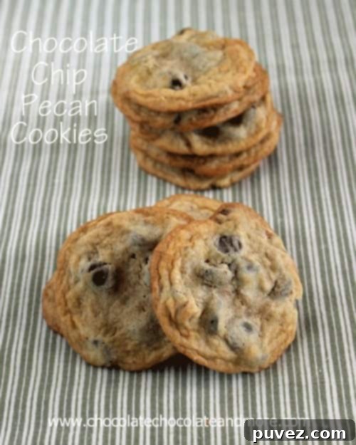 Chocolate Chip-Pecan Cookies and a bake sale