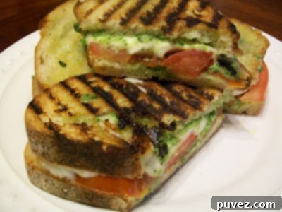 Grilled Pesto, Mozzarella and Tomato Sammies with beautiful grill marks