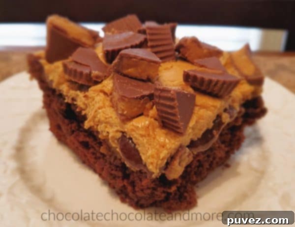 A close-up shot of a thick slice of chocolate cake on a white plate, featuring visible layers of rich melted chocolate and creamy peanut butter frosting, generously covered with finely chopped peanut butter cups. The frosting appears to be slightly gooey and inviting.