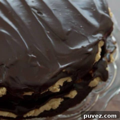 A beautifully decorated round peanut butter cup cake with chocolate and peanut butter frosting, garnished with whole peanut butter cups.