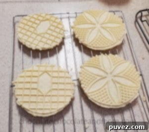Several round flat cookies with decorative imprints cooling on a rack.