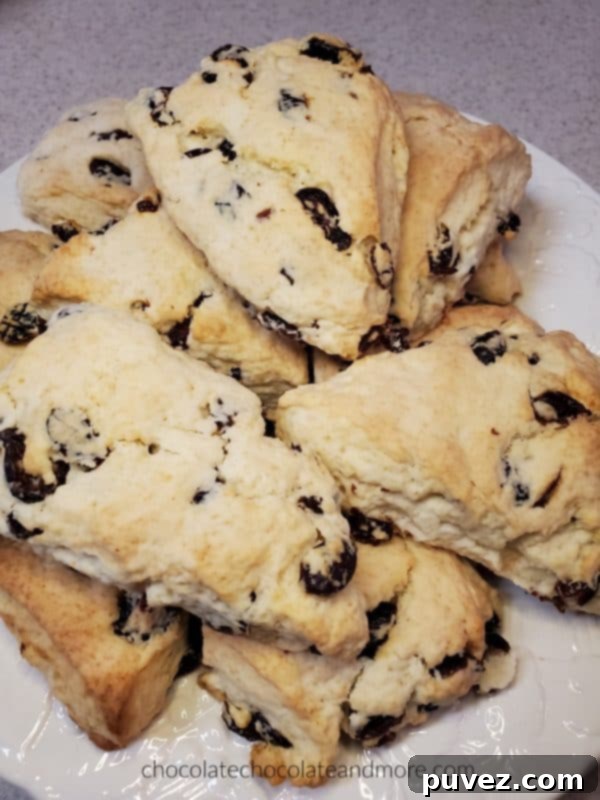 A stack of golden-brown cranberry scones piled high on a pristine white plate, showcasing their inviting texture and generous fruit content.