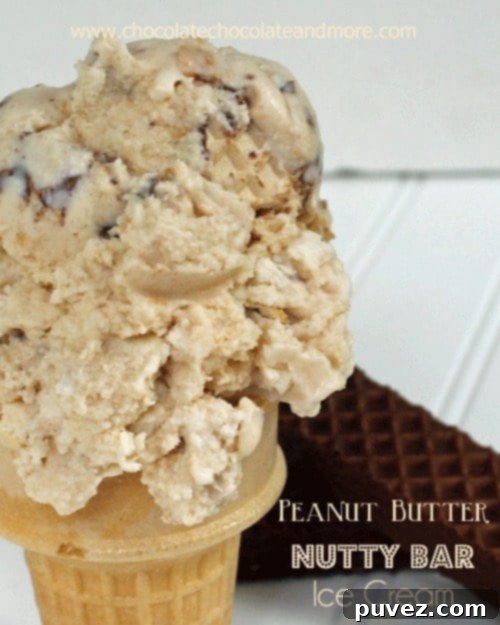 Peanut Butter Nutty Bar Ice Cream, perfect for a summer treat