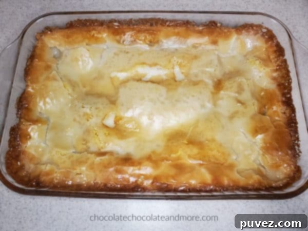 A large pan of freshly baked gooey cream cheese bars, ready to be cut into squares.