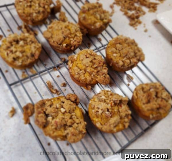several sweet potato praline muffins cooling on a baking rack. crumbles of praline topping are under the racks