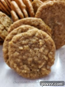 A brown cookie full of coconut with several other cookies stacked behind it, showcasing its delicious texture.