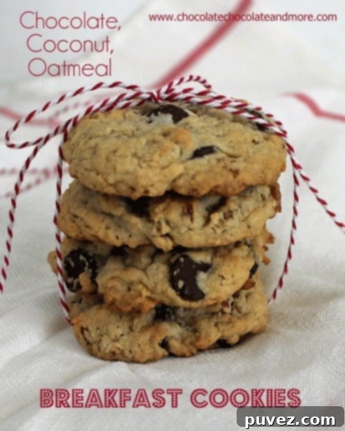 Chocolate Coconut Oatmeal Breakfast Cookies