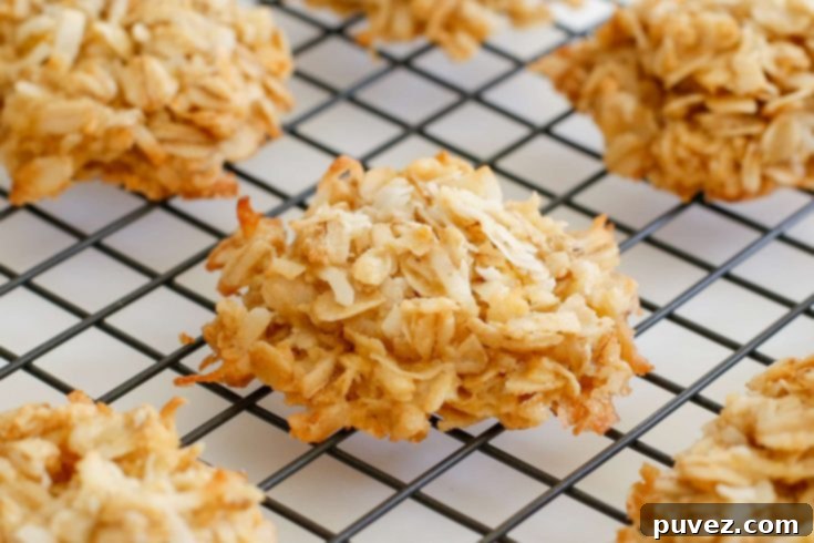 Coconut Lover's Oatmeal Cookies