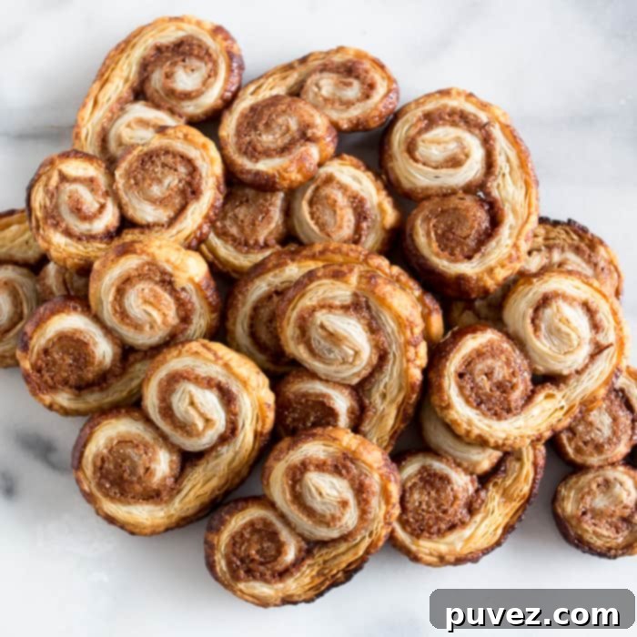 Crispy Cinnamon Sugar Palmiers cookies