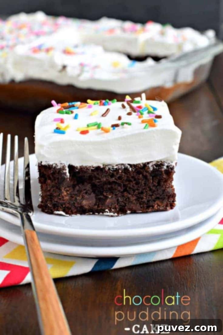 A slice of moist chocolate pudding cake with a delicate crumb, tempting and delicious.