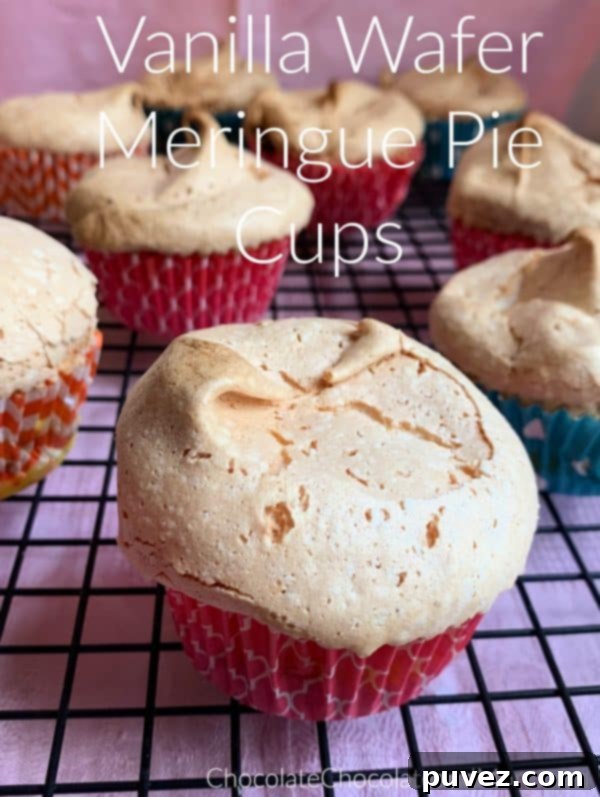 Two Vanilla Wafer Meringue Pie Cups sitting on a metal cooling rack with a soft pink background, showcasing their golden meringue tops and creamy filling.