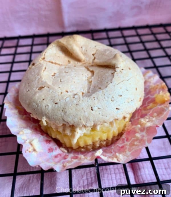 A single Vanilla Wafer Meringue Pie Cup, perfectly formed with its toasted meringue peak, resting on a metal cooling rack against a pink backdrop.