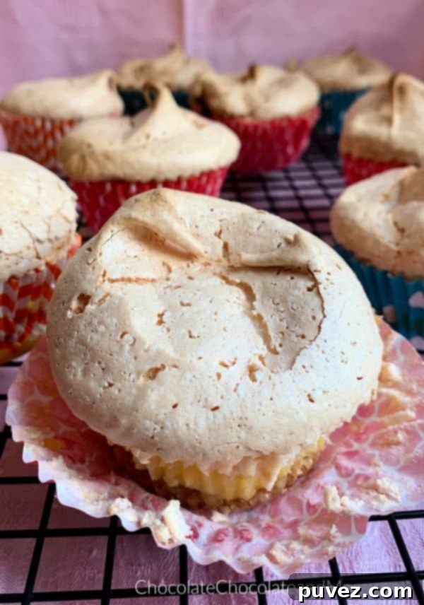 Several Vanilla Wafer Meringue Pie Cups arranged neatly on a metal cooling rack, displaying their golden brown meringue and individual sizes.