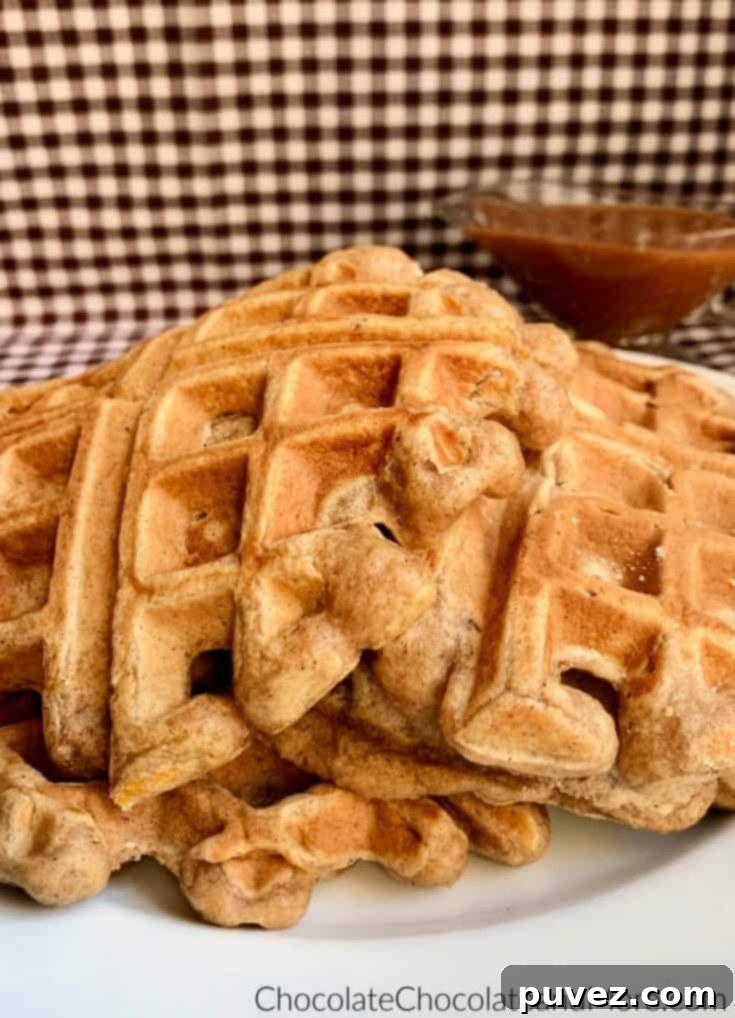 Cinnamon Applesauce Waffles