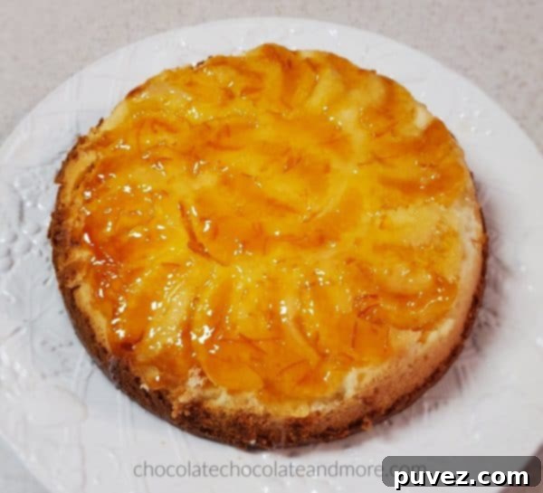 a single layer of orange cake with sections of orange visible, fresh from the oven