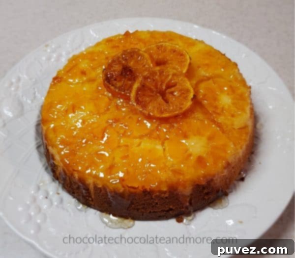 a single layer of orange upside down cake, beautifully topped with three candied orange slices