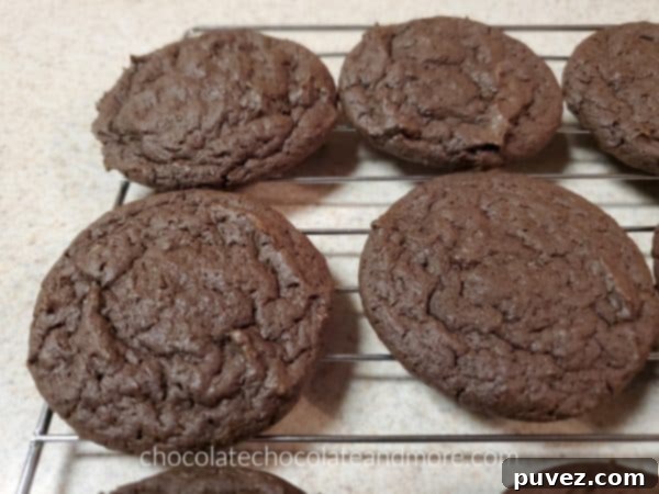 Warm, dark chocolate cookies, the un-iced base for Texas Chocolate Cookies, cooling on a wire rack.