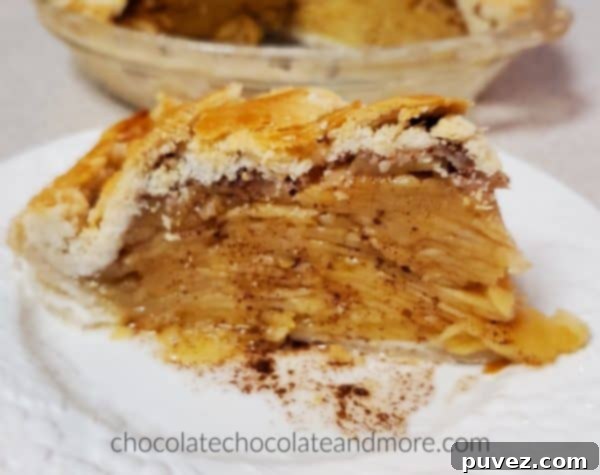 A large, golden-brown slice of Gram's Apple Pie with cinnamon glistening on top and a hint of steam rising, showcasing its warm, inviting appeal.