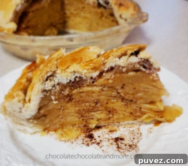 A single, perfectly cut slice of Gram's Apple Pie sitting on a plate, invitingly ready to be enjoyed.