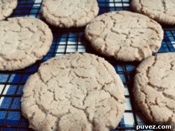 7 Cream Cheese Frosted Sugar Cookies sitting on a blue and white checkered background.