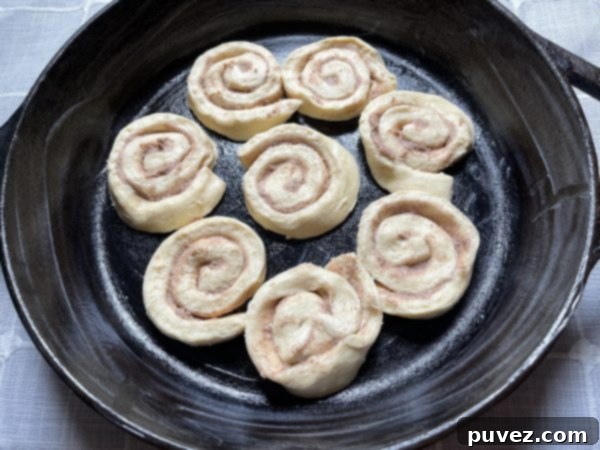 Canned cinnamon rolls pressed into a greased baking dish, forming the base layer for the dessert casserole.