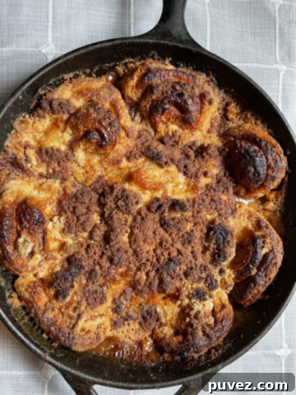 The Cinnamon Roll Dessert Casserole, freshly baked and golden brown with a bubbly crust, just removed from the oven.