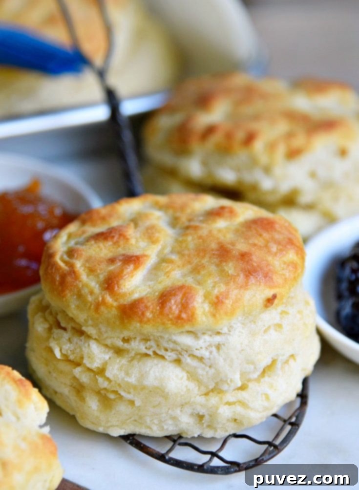 Perfect Homemade Biscuits Every Time!