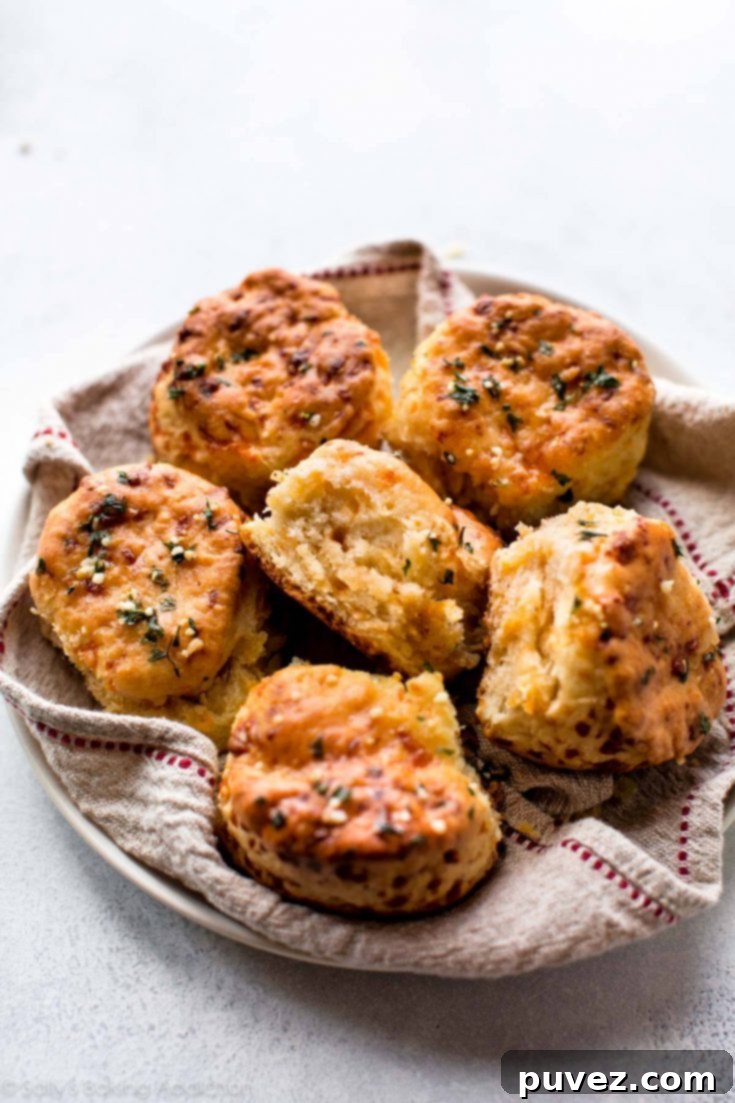 Homemade Cheddar Biscuits from Sally's Baking Addiction