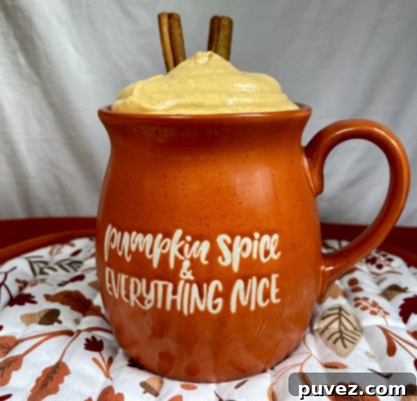 Pumpkin Spice Cheesecake Dip in an orange mug.